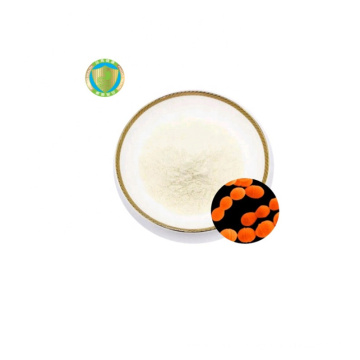 China Manufacturer Streptococcus Thermophilus probiotics powder supplier